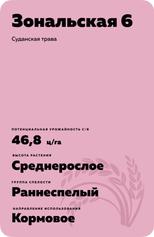 Зональская 6