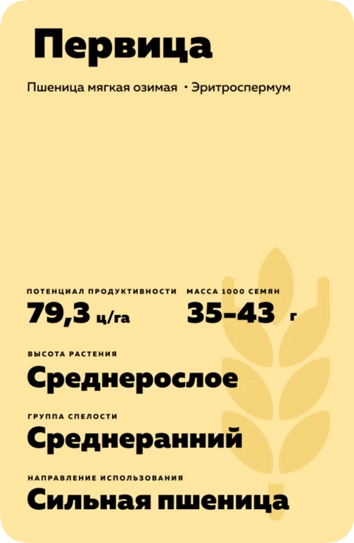 Украинка Одесская