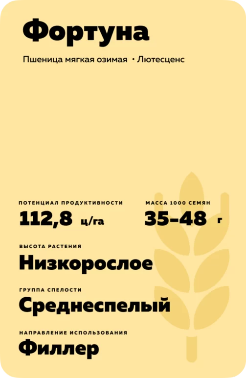 Фортуна сорт мягкой озимой пшеницы