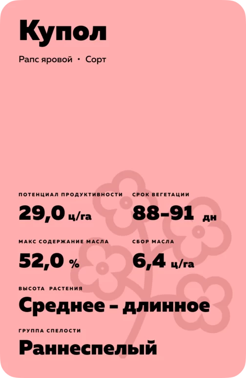 Купол сорт рапса ярового