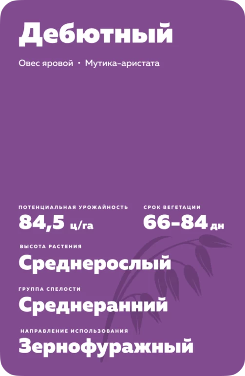 Дебютный - овес яровой. Характеристики и отзывы