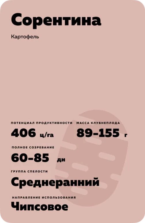 Сорентина