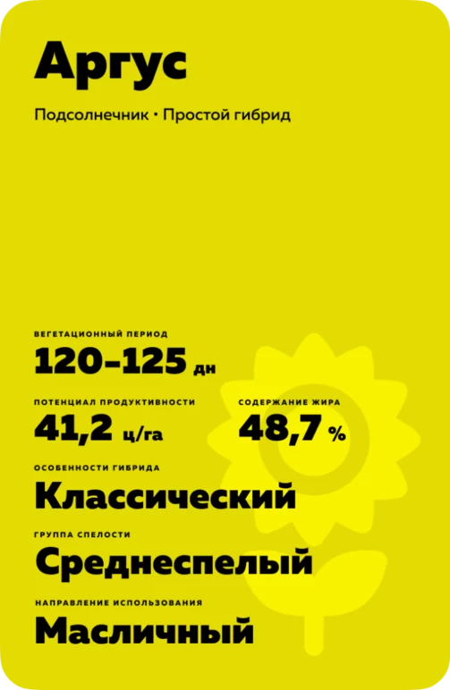 Аргус
