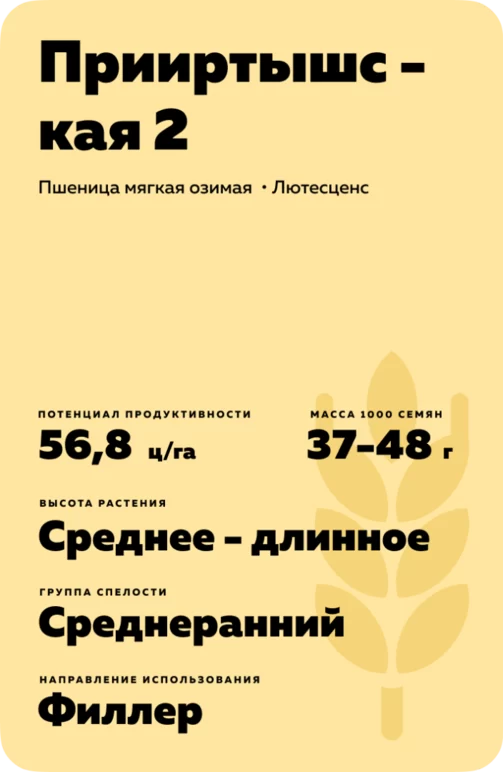Прииртышская 2