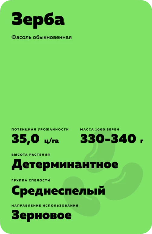 Зерба