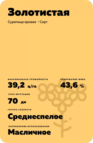 Золотистая
