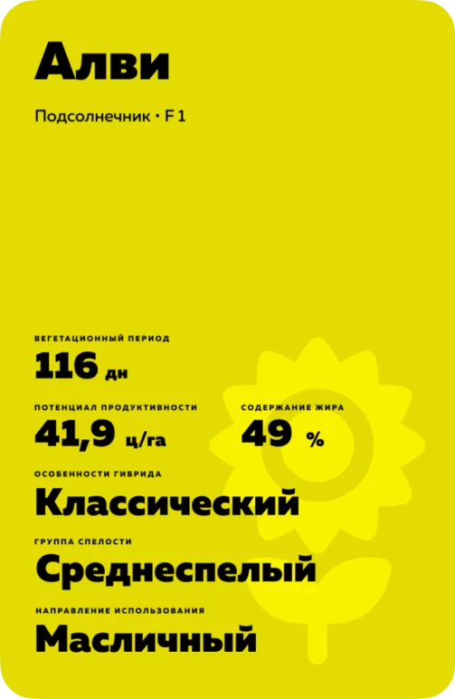 Алви