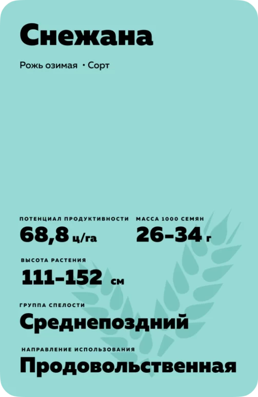 Снежана рожь озимая