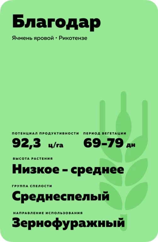 Благодар сорт ярового ячменя