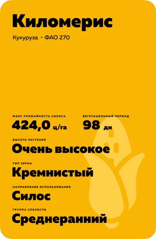 Киломерис кукуруза