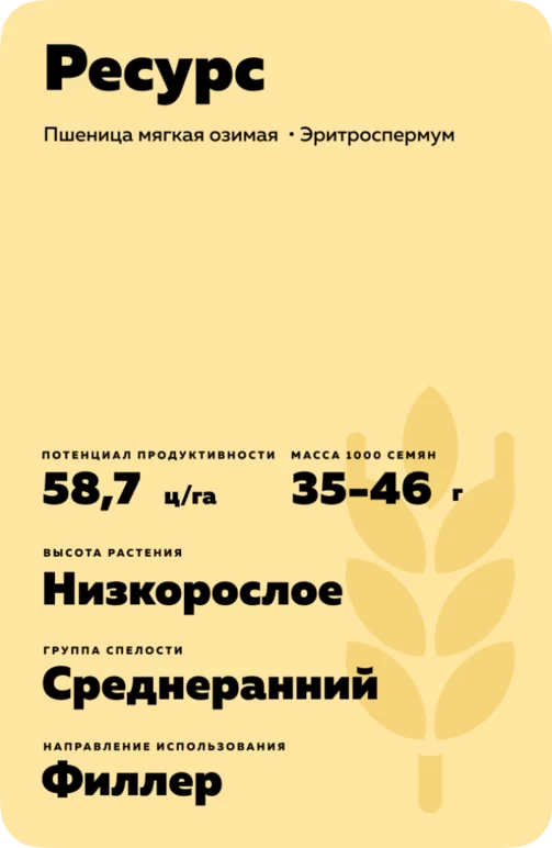 Ресурс сорт мягкой озимой пшеницы