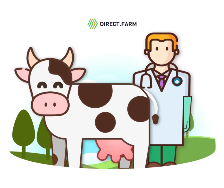 Протокол лечения гипофункции яичников у коров
