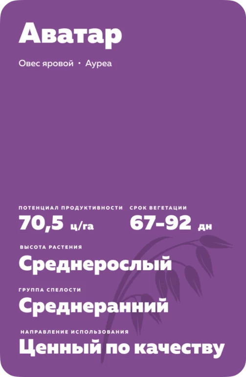 Аватар сорт овса ярового