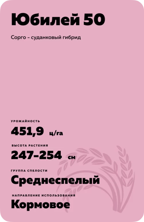 Юбилей 50