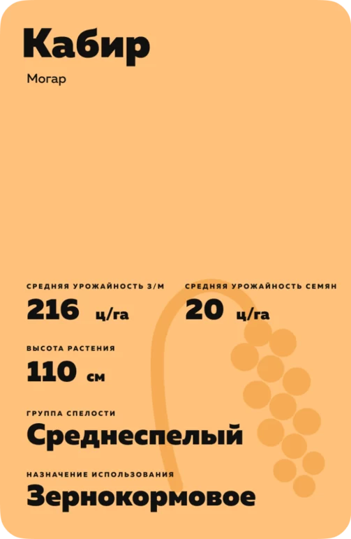 Кабир