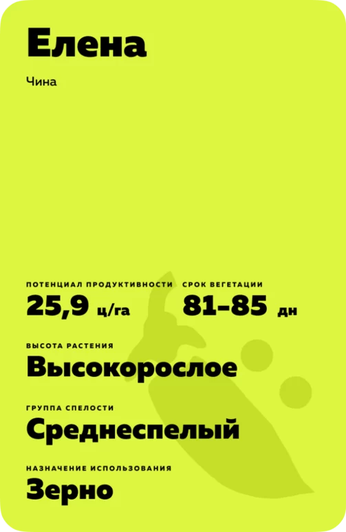 Елена