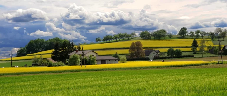 Австрия выступает против гербицидов

