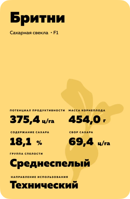 Бритни (BRITNEY)