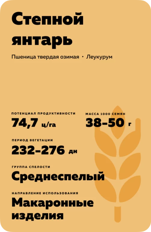 Степной янтарь сорт твердой озимой пшеницы