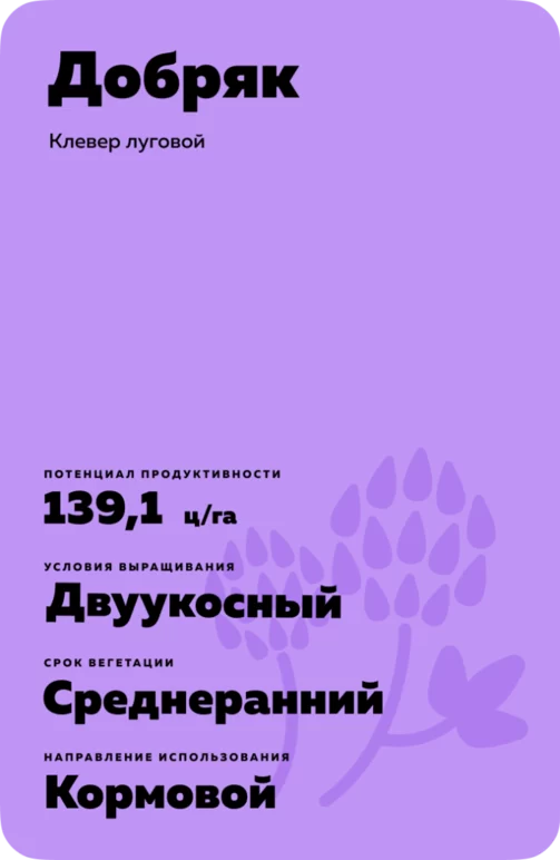 Добряк