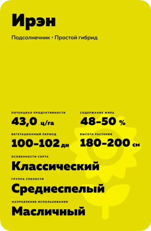 Ирэн ® - гибрид подсолнечника (Helianthus annuus L.).
