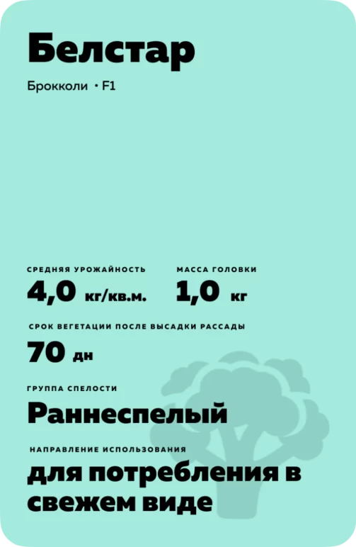 Белстар (BELSTAR) гибрид брокколи