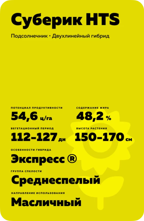 Суберик HTS (SUBERIC HTS) гибрид подсолнечника