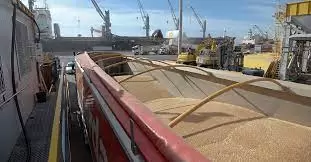 Россия приостанавливает участие в зерновой сделке с сегодняшнего дня