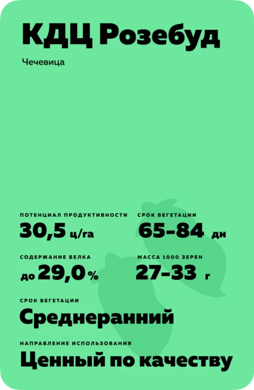 КДЦ Розебуд (CDC ROSEBUD)