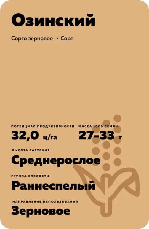 Озинский сорго зерновое