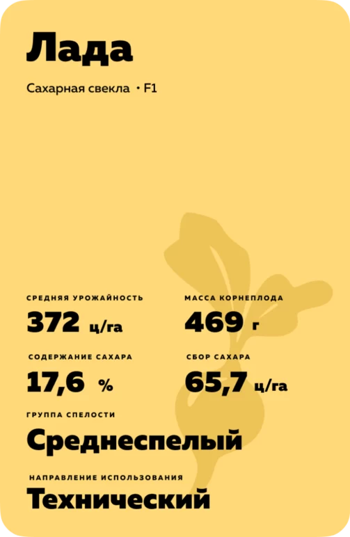 Лада гибрид сахарной свеклы