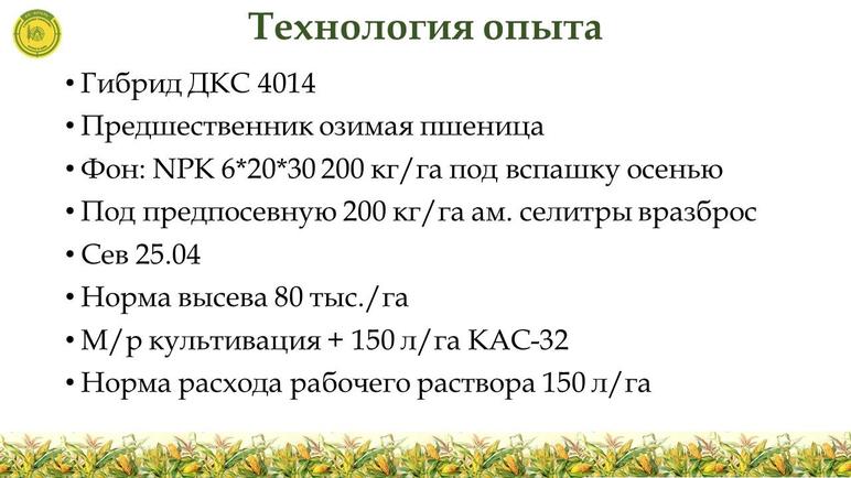 Сравнение эффективности различных гербицидов на кукурузе на зерно