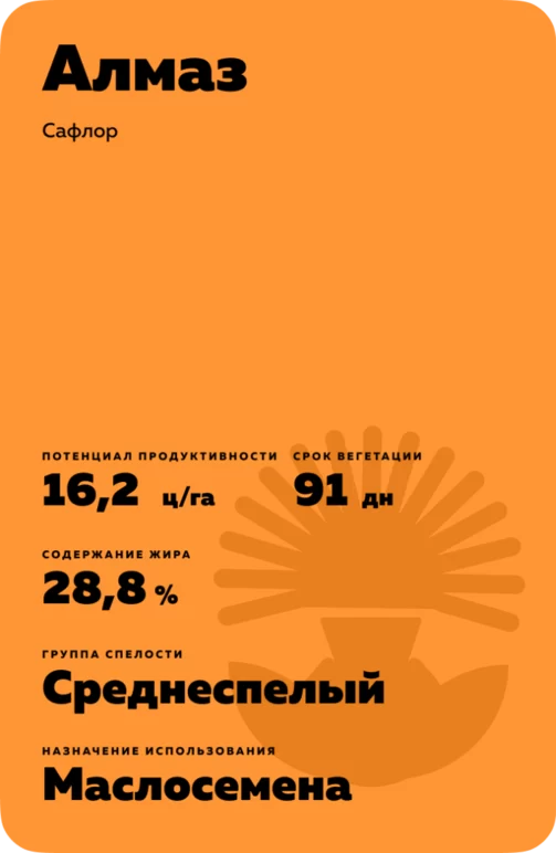 Алмаз - сафлор. Характеристики и отзывы