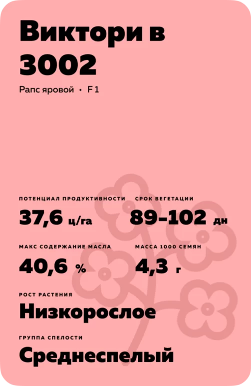Виктори в 3002 (VICTORY V 3002)