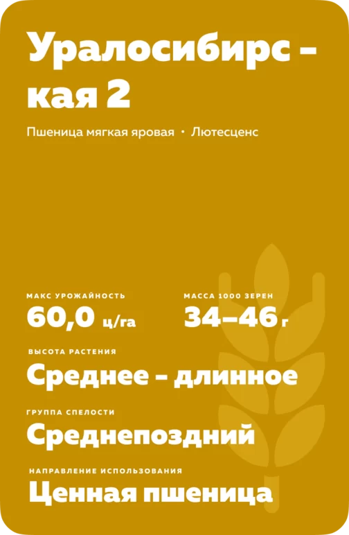 Уралосибирская 2 сорт мягкой яровой пшеницы