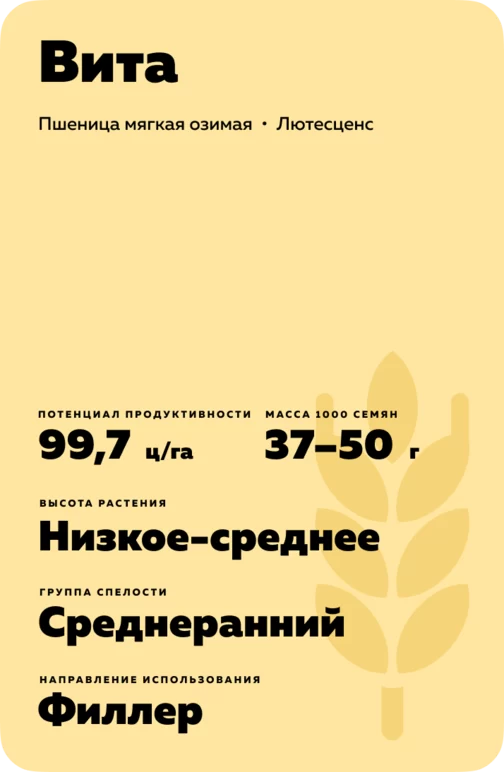 Вита сорт мягкой озимой пшеницы