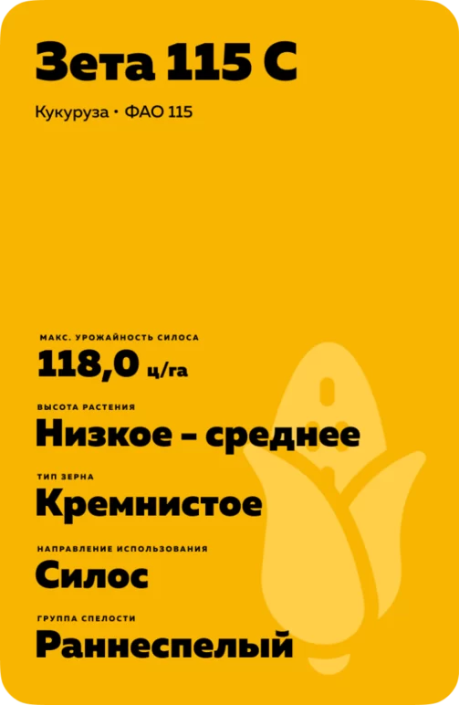 Зета 115 С гибрид кукурузы