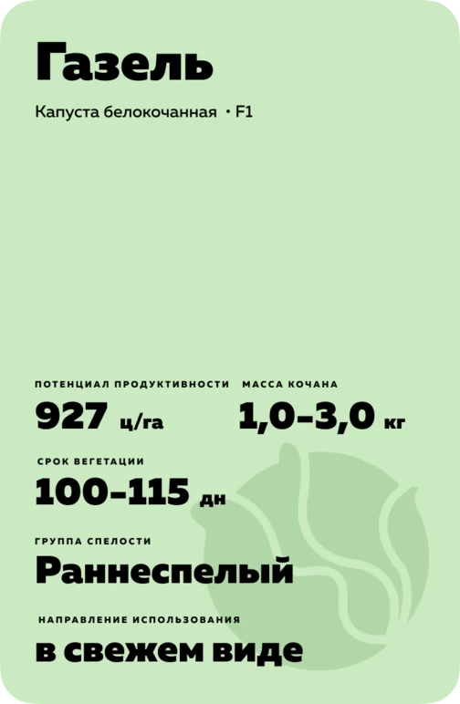 Газель гибрид капусты белокочанной