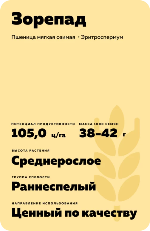 Зорепад