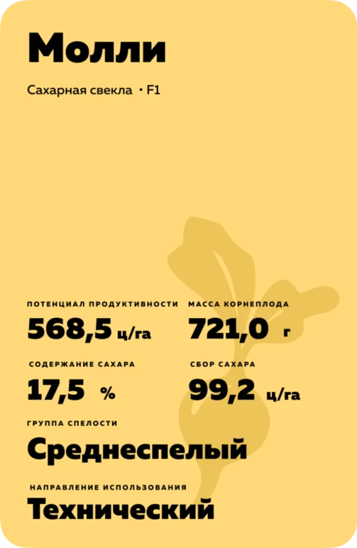Молли