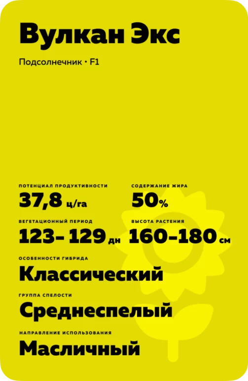 Вулкан ЭКС