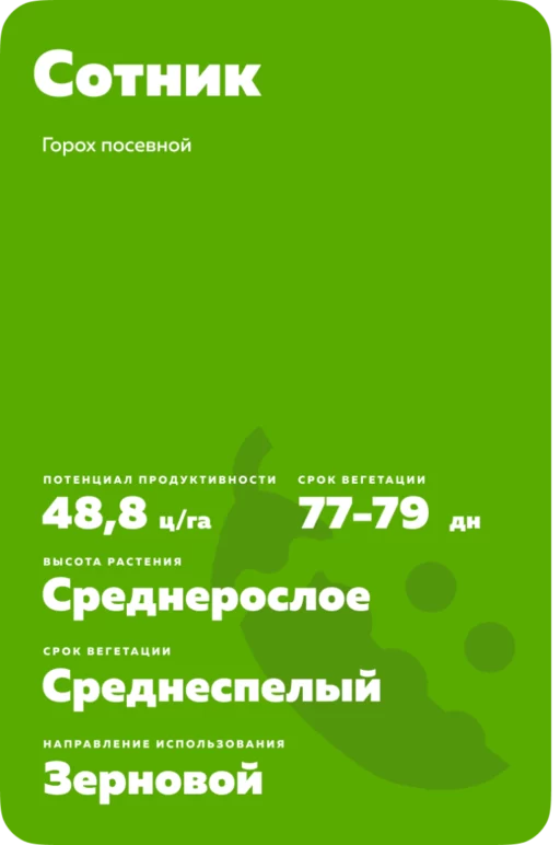 Горох Сотник