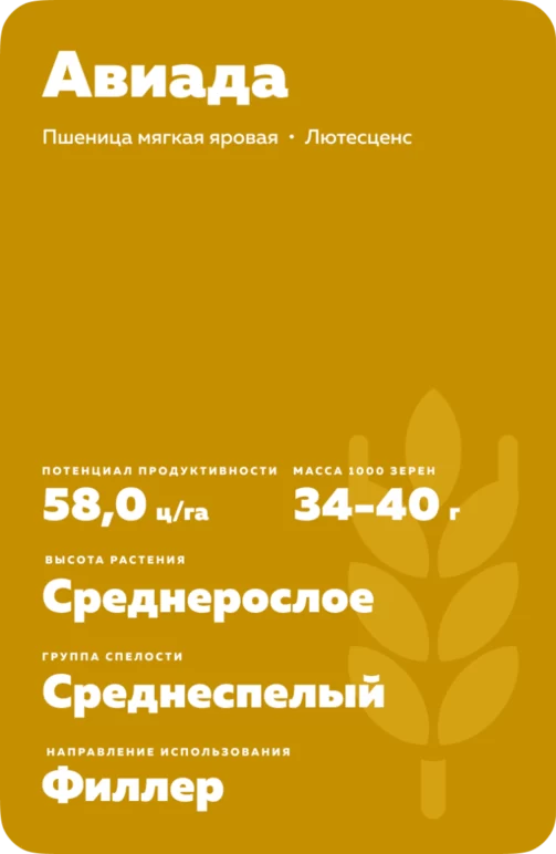 Авиада пшеница