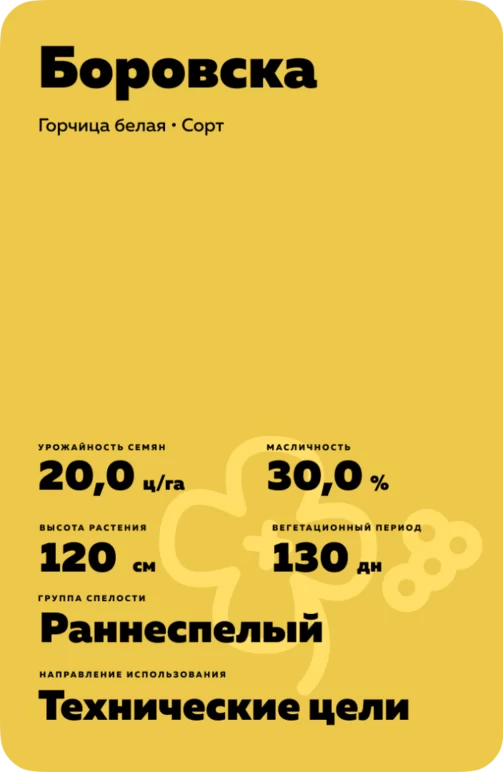Боровска (BOROWSKA)