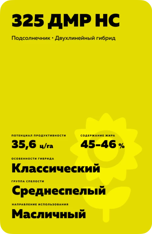 325 ДМР НС гибрид подсолнечника