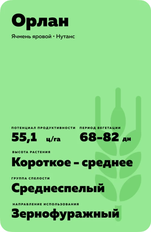 Орлан