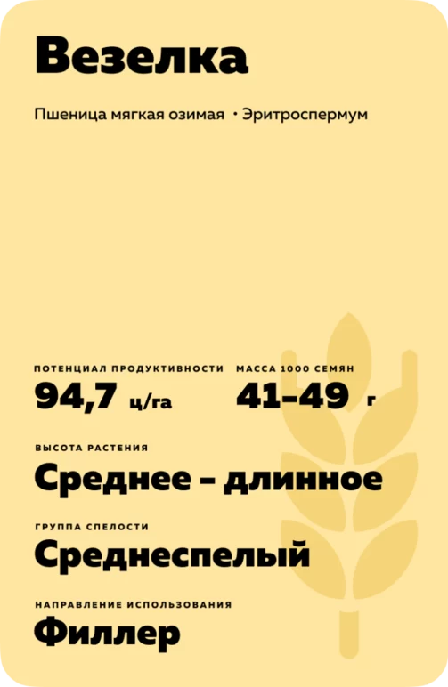 Везелка сорт пшеницы мягкой озимой
