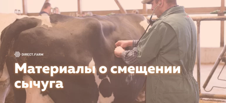 ТОП-5 постов о смещении сычуга у коров