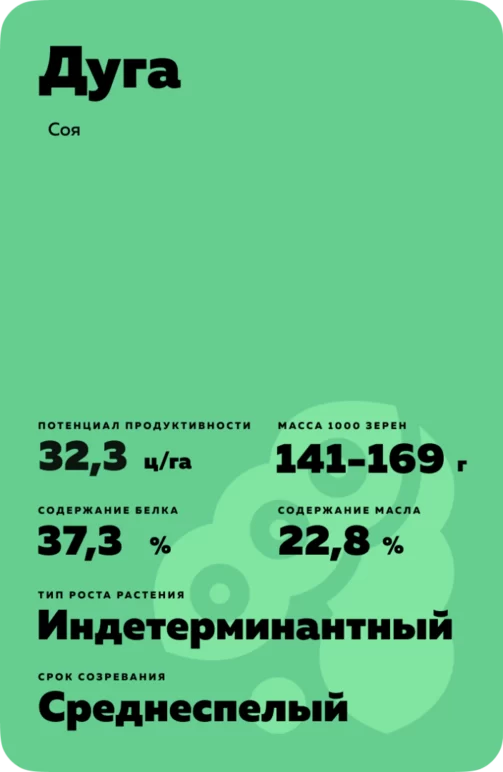 Дуга