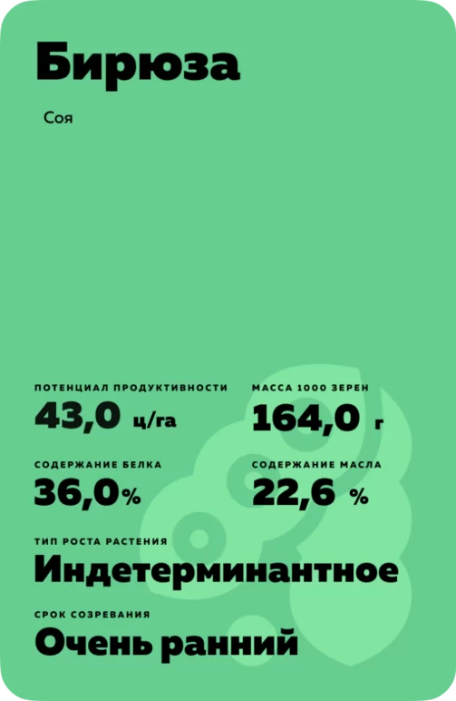 Бирюза сорт сои
